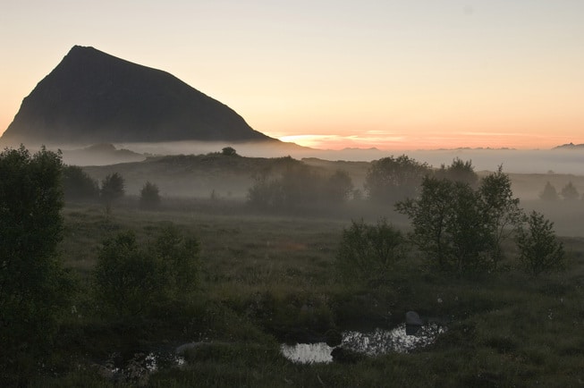 Naturperlens rikeste fuglereservat, norsk natur