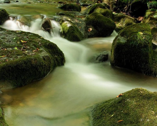 elv natur stein vann mose