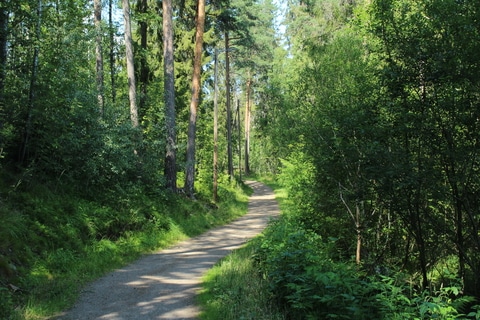 "Lysløypa" i skogen ved Stovner