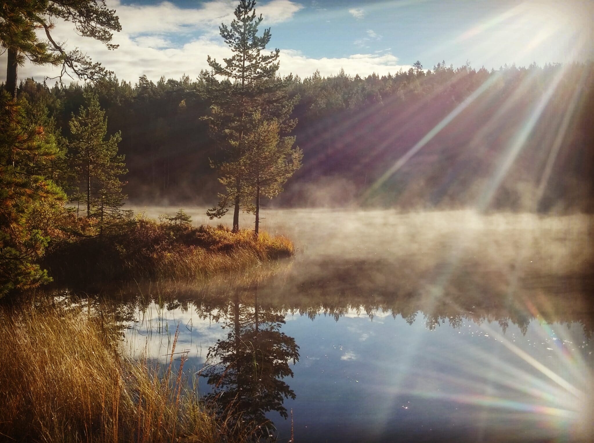 Vår Historie - Naturvernforbundet