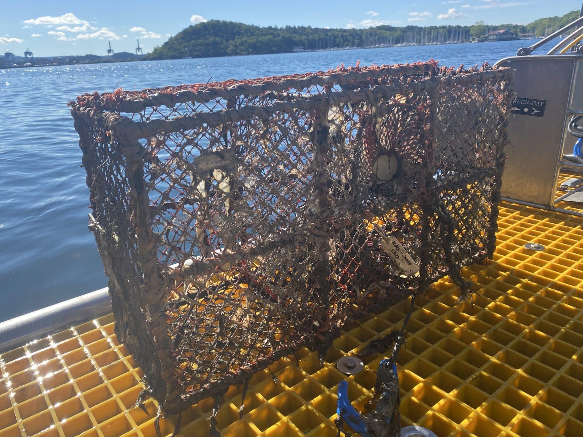 Spøkelsesteine i Oslofjorden