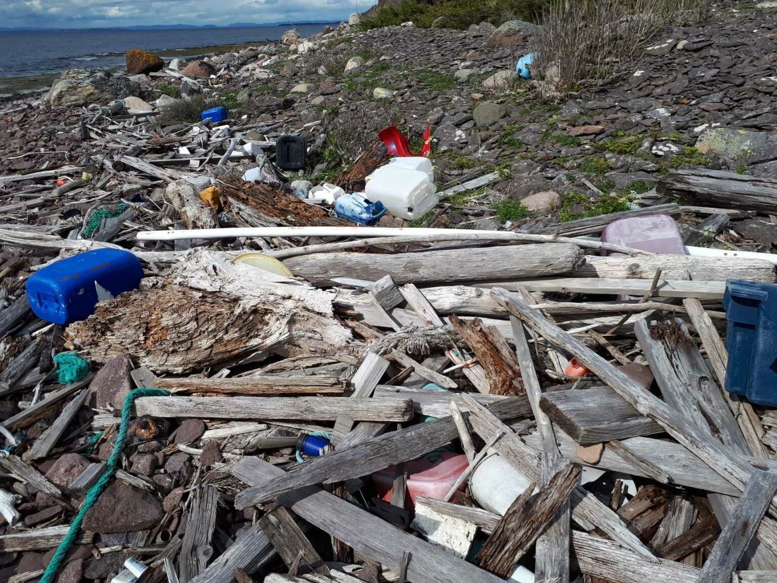 Plast I Havet Naturvernforbundet