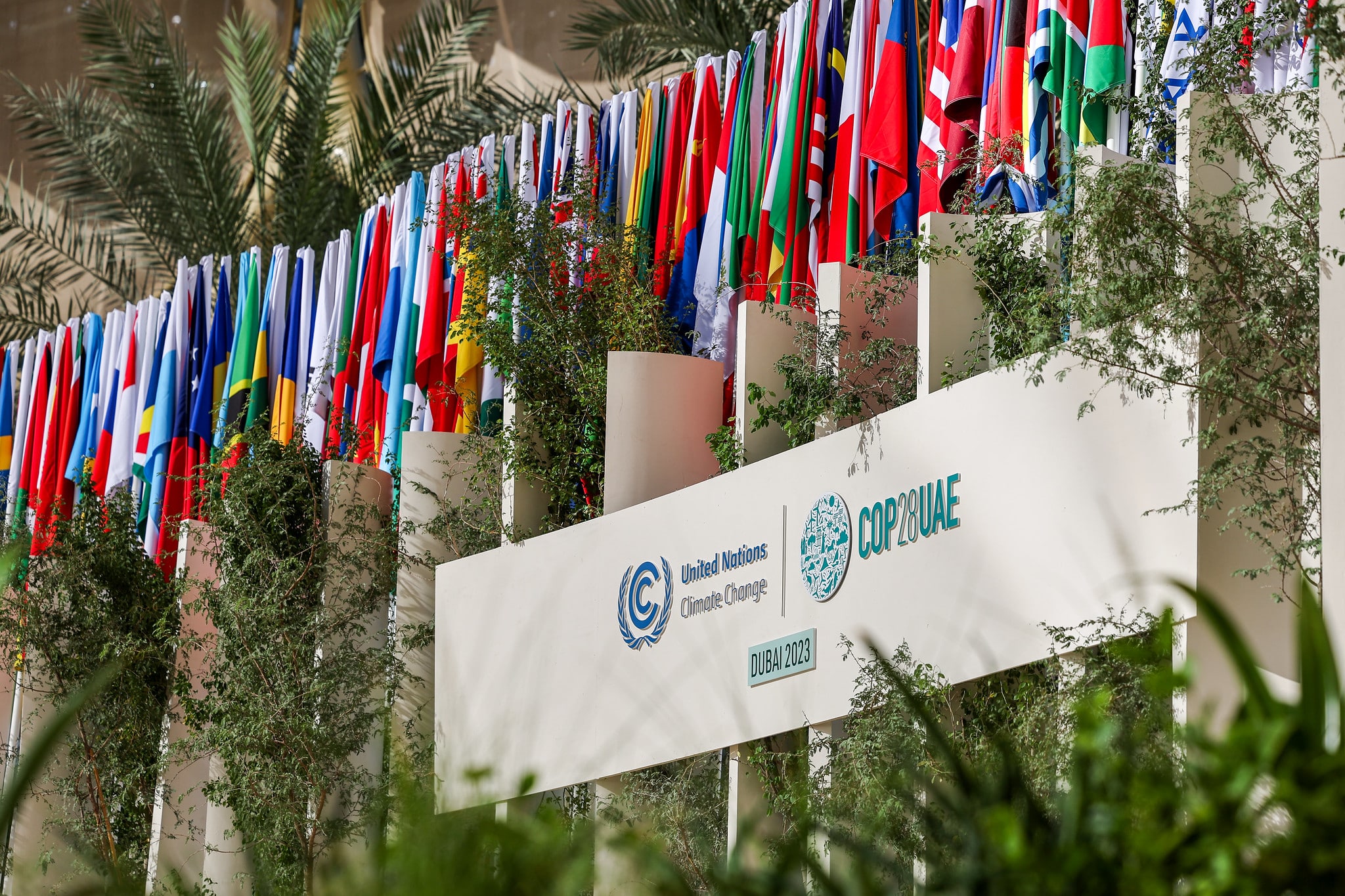 FN-landenes flagg utenfor COP28 i Dubai