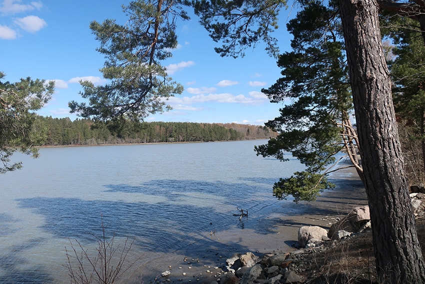 Våtmark ved Hønefoss, der det skal bygges motorvei
