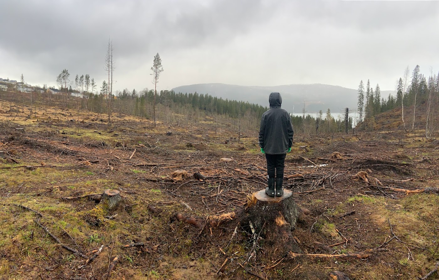 Et barn står på en stubbe midt på en hogstflate og stirrer mot horisonten. Alle trærne er borte, igjen står en slagmark. 