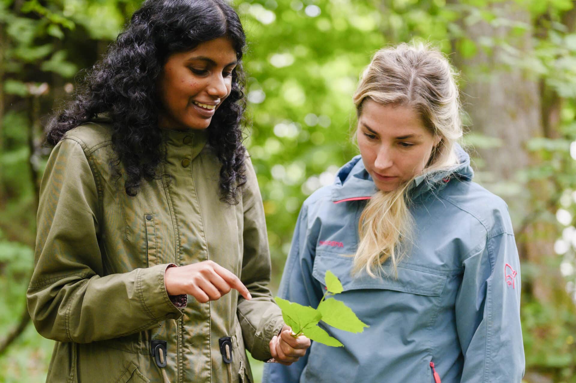 To kvinner som snakker om et blad i skogen