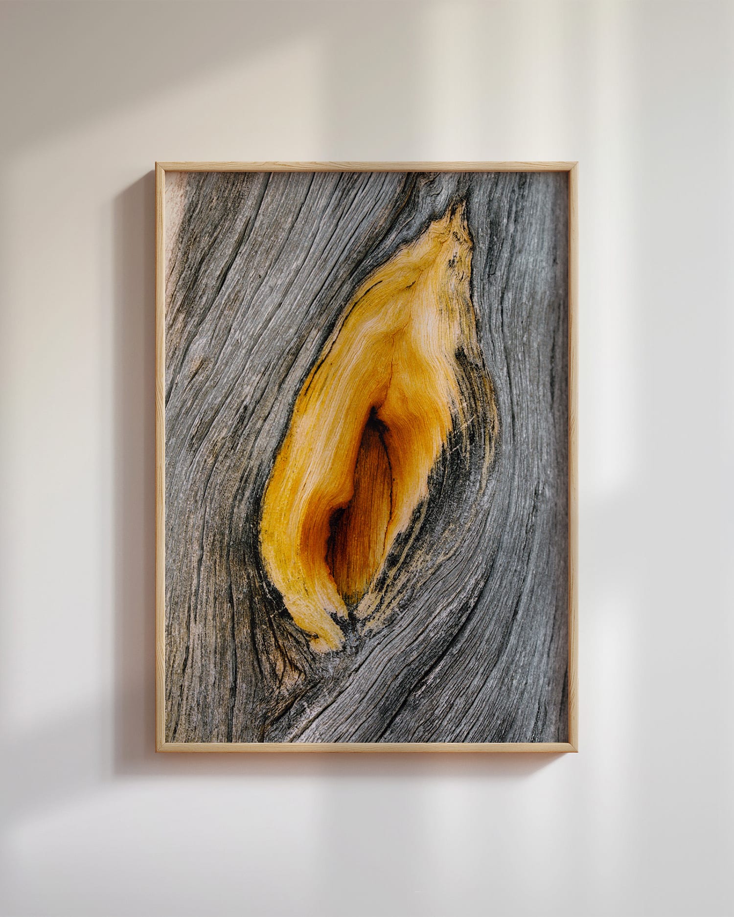 Kelofuru, Pasvik (2025)