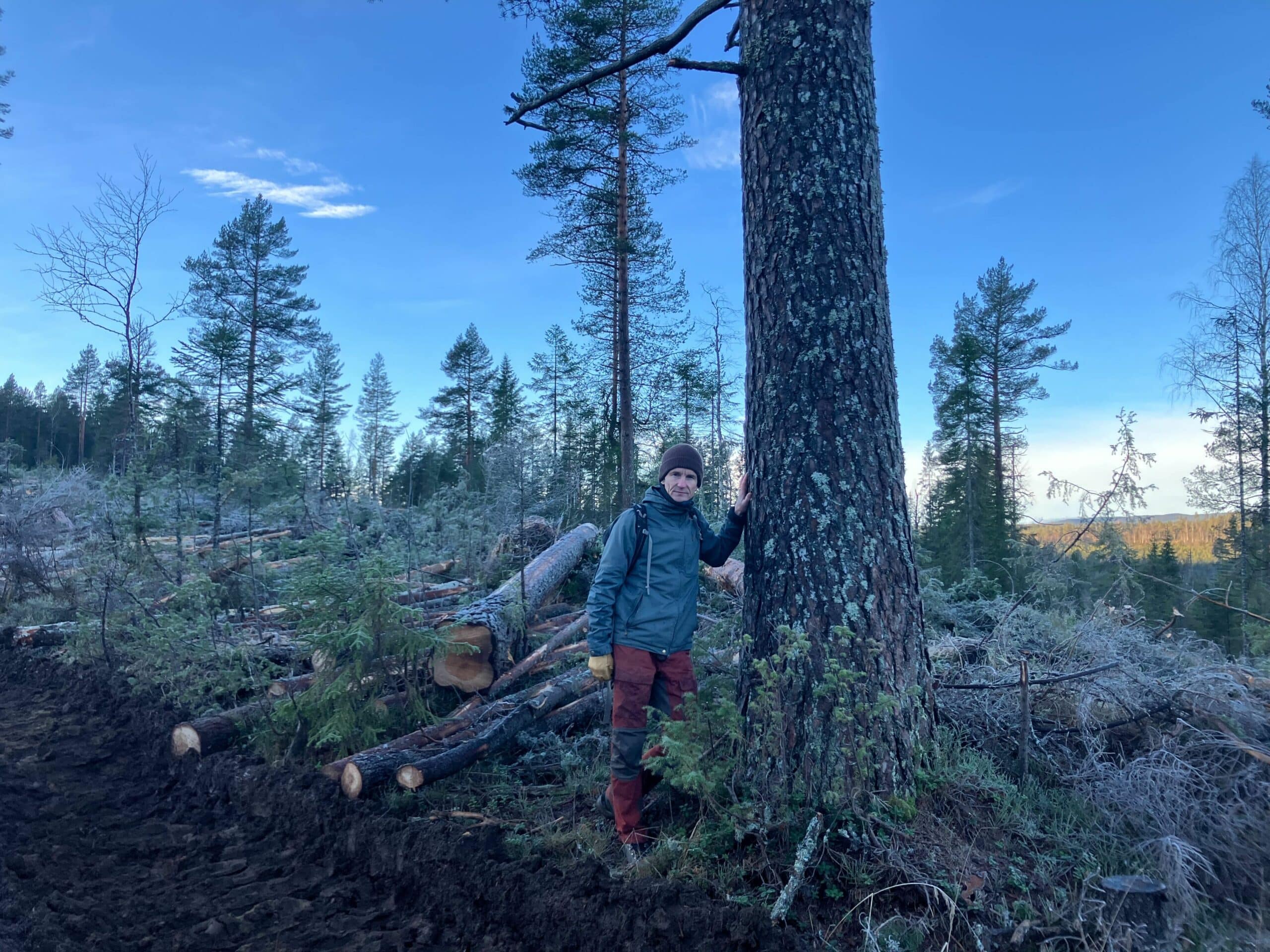Truls Gulowsen i skogen