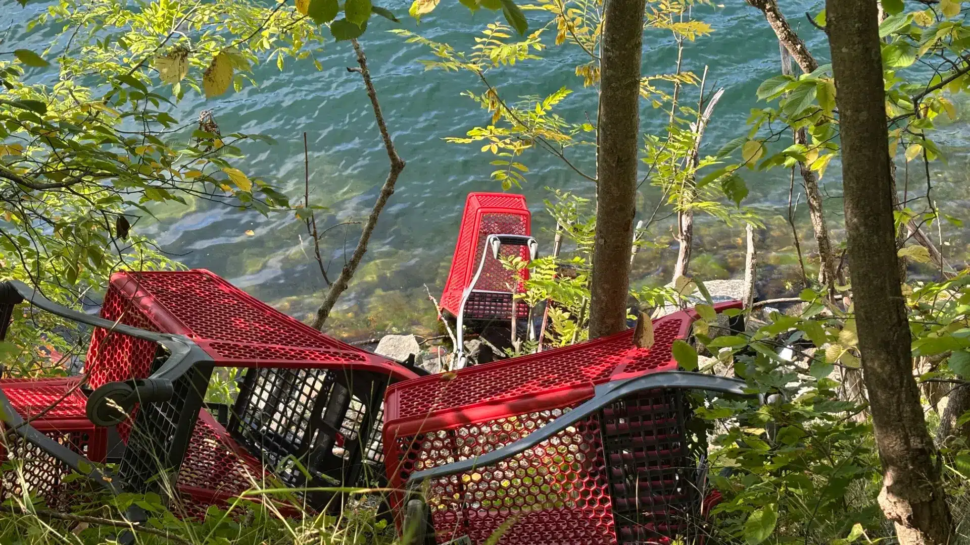 Tips til Fiks fjorden 3. september 2026: Mange handlevogner i skråning og i vann i Bunnefjorden i Ås. Saken er meldt videre til Ås kommune. Foto: Fiks fjorden/Naturvernforbundet