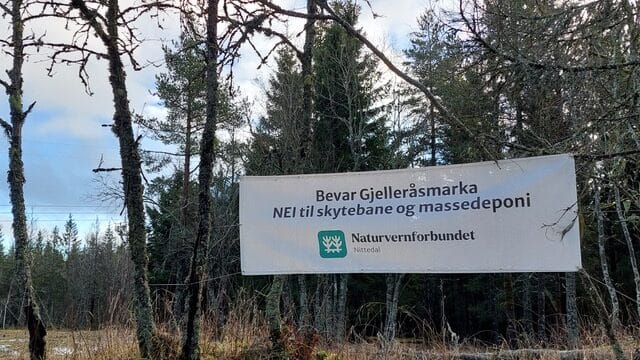 banner i skog