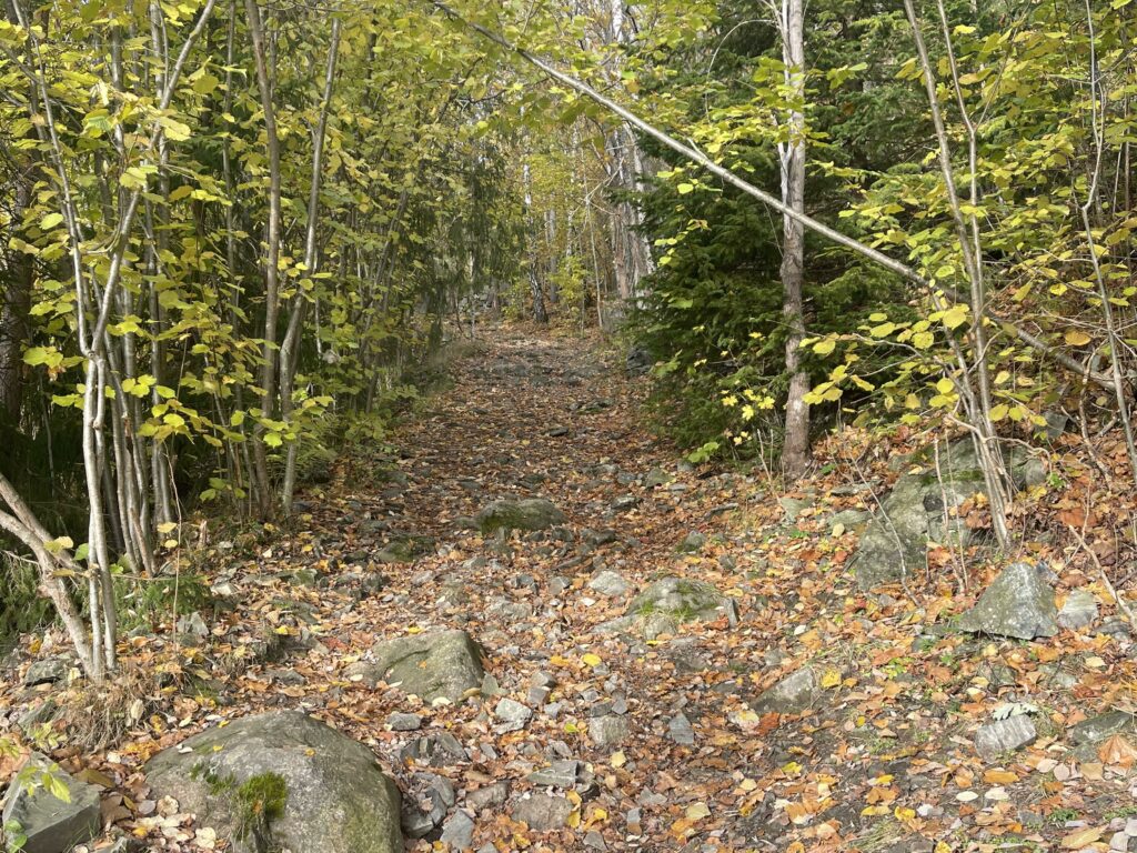 Stien som fører fra begyggelsen på Rykkinn, opp mot den foreslåtte utvidelsen av Eine naturreservat.