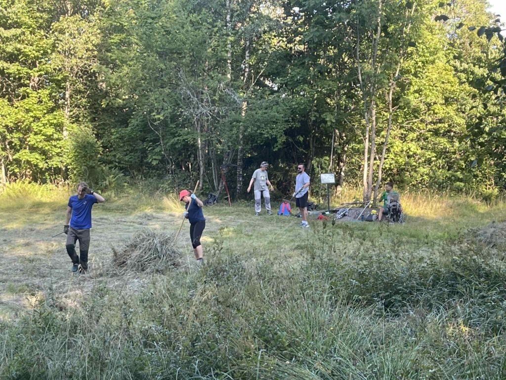 Dugnadsgjeng i aksjon