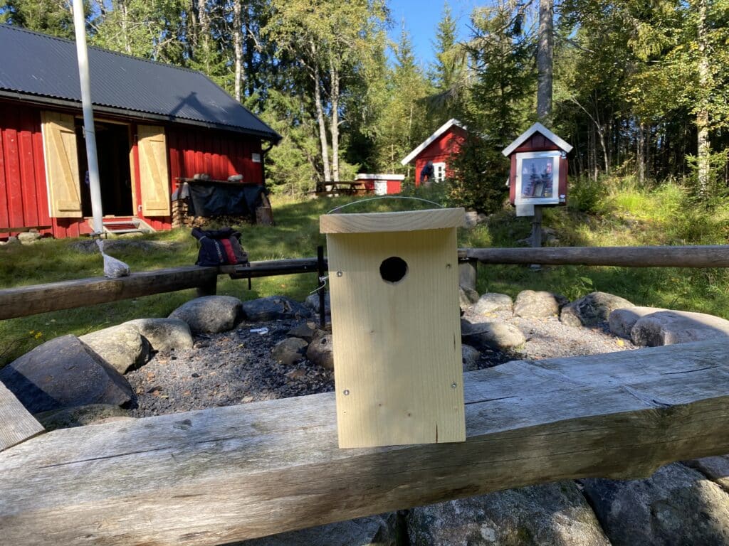 fuglekasse på bord ved jenrud
