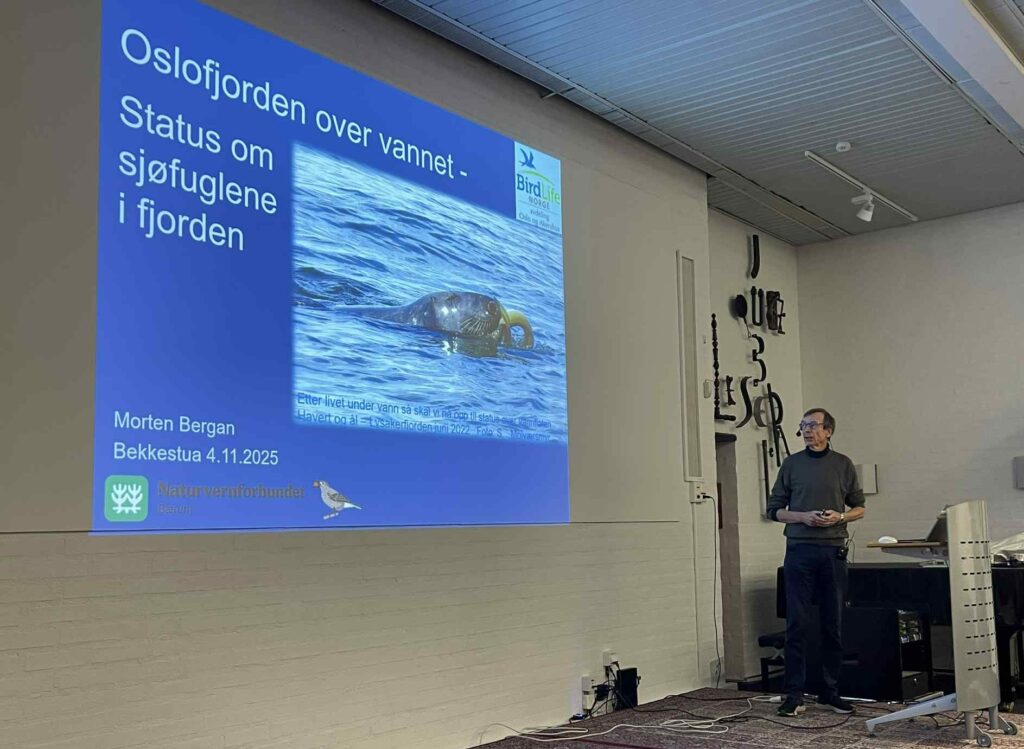 Morten Bergan forteller om sjøfuglene i Oslofjorden