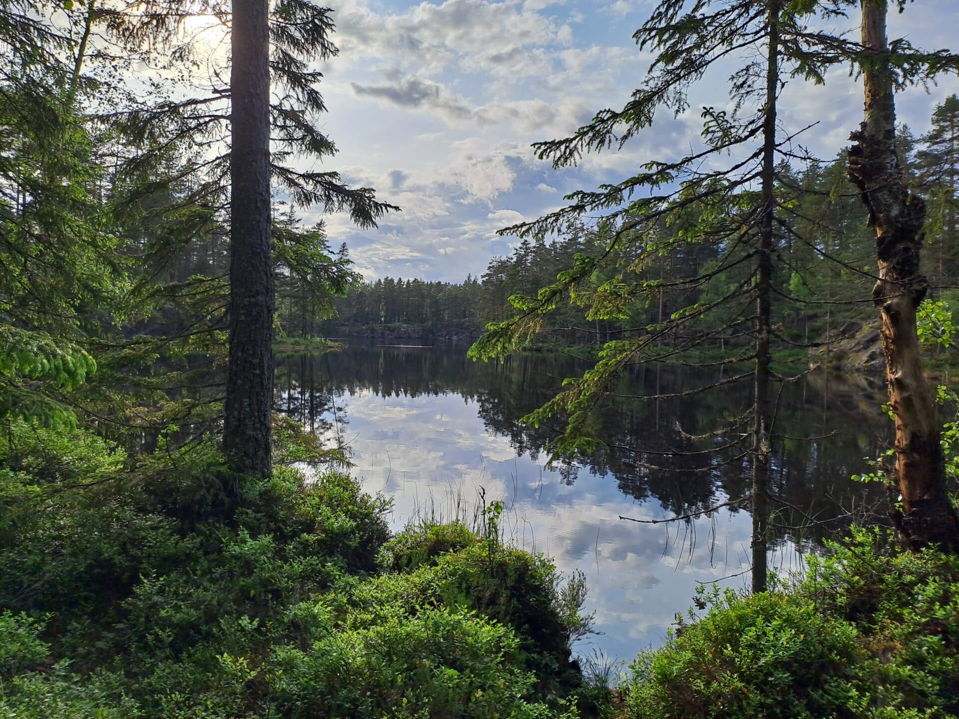 Natur i Aurskog-Høland