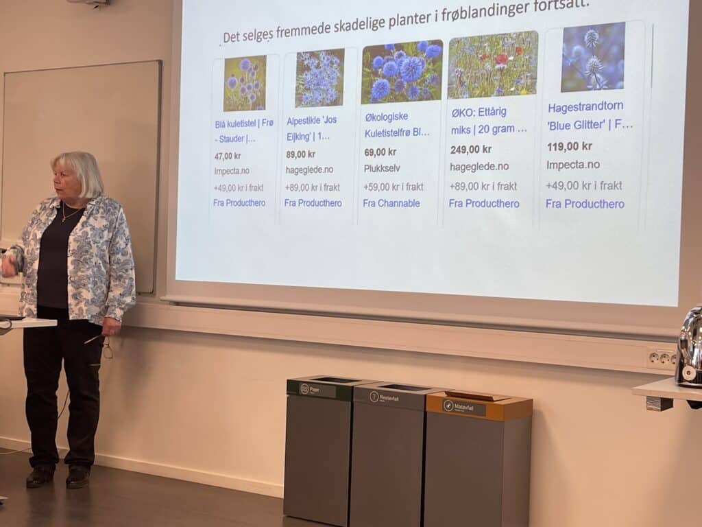 Kristin Bjartnes forteller at invaderende planter fortsatt er i kommersielt salg.