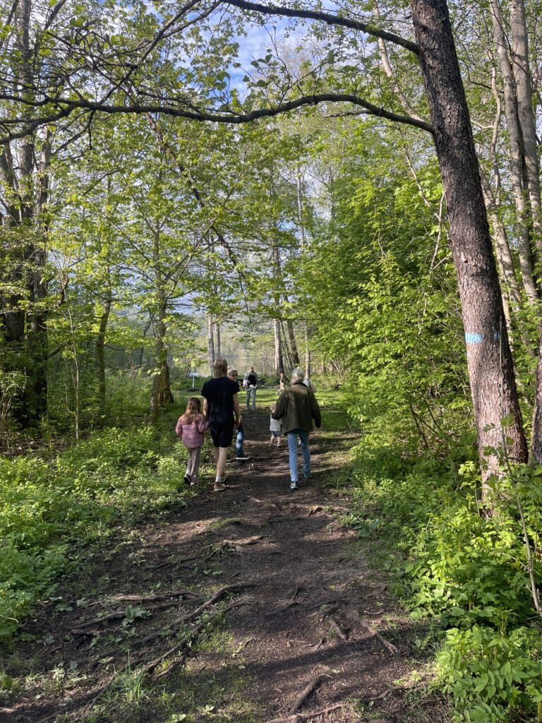Blomstertur i Dæliskogen