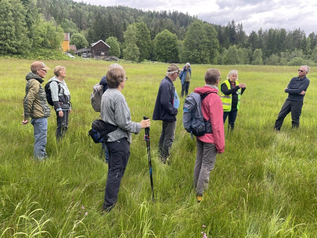 Turleder forteller om botanikk til deltakere på blomstereng