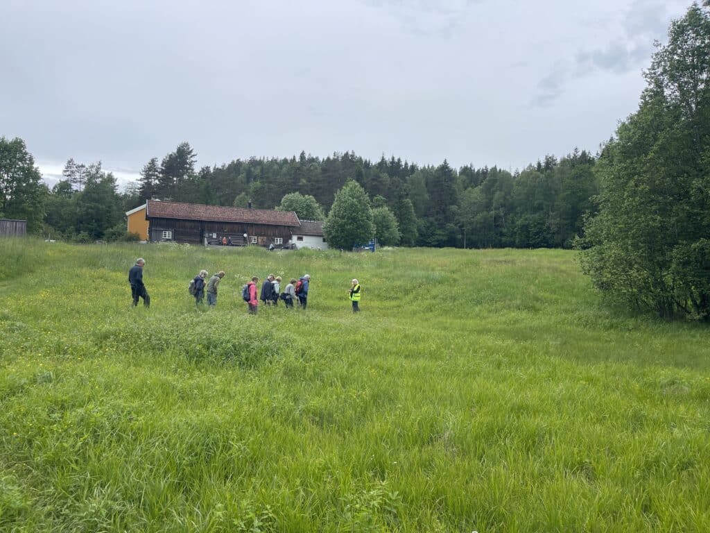 gruppe blomsterinteresserte på blomstereng