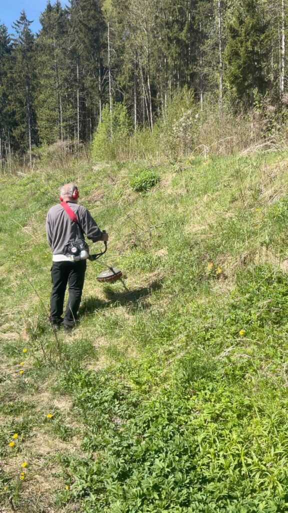 Skjøtsel på NesøyaS