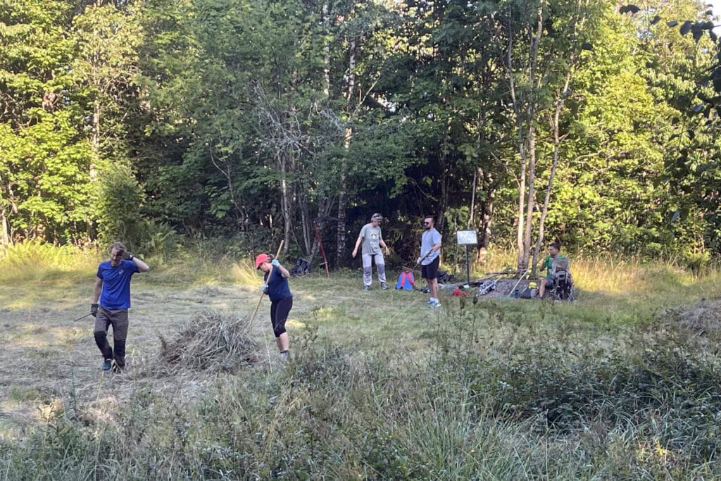 folk raker gress