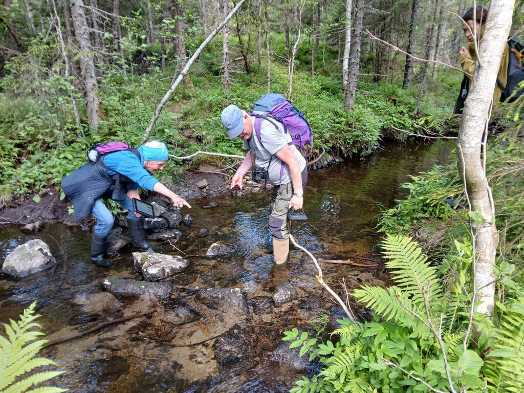 To personer i en elv, skog, foto