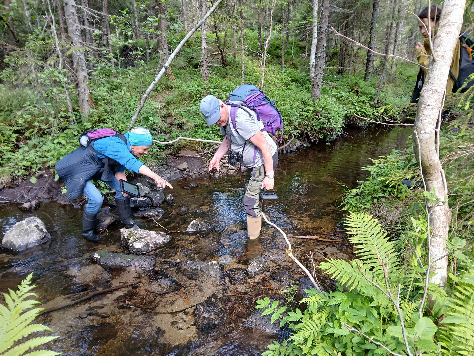 To personer i en elv, skog, foto