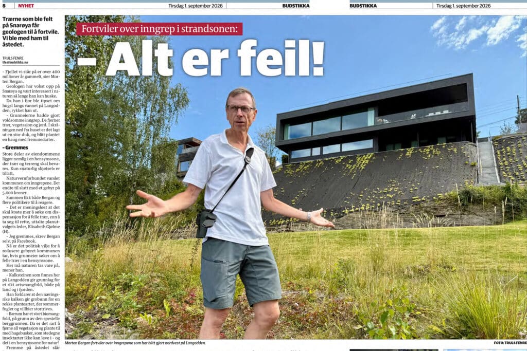 Presseklipp fra Budstikka
