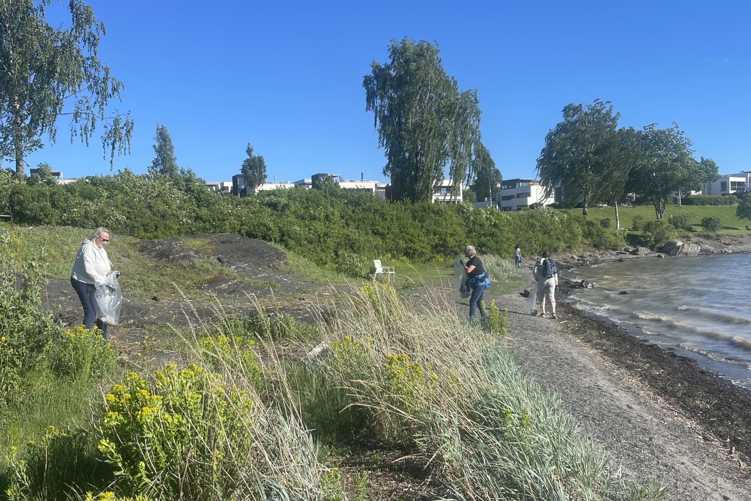 folk plukker søppel på strand