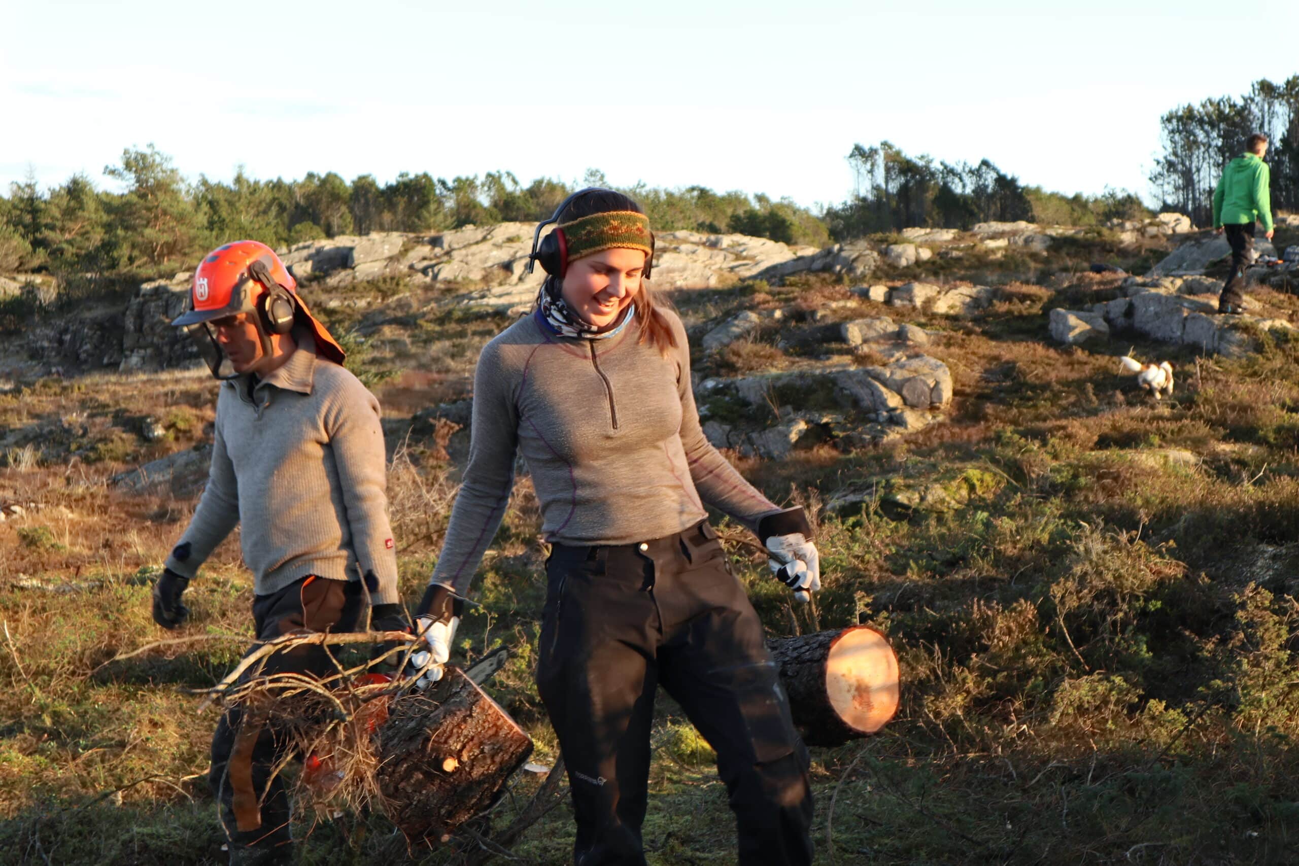 frivillige naturrestaurering hatten