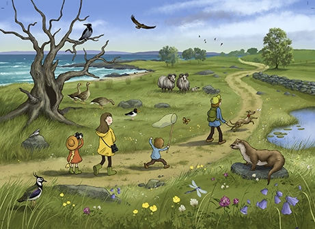 naturglede, åpent landskap