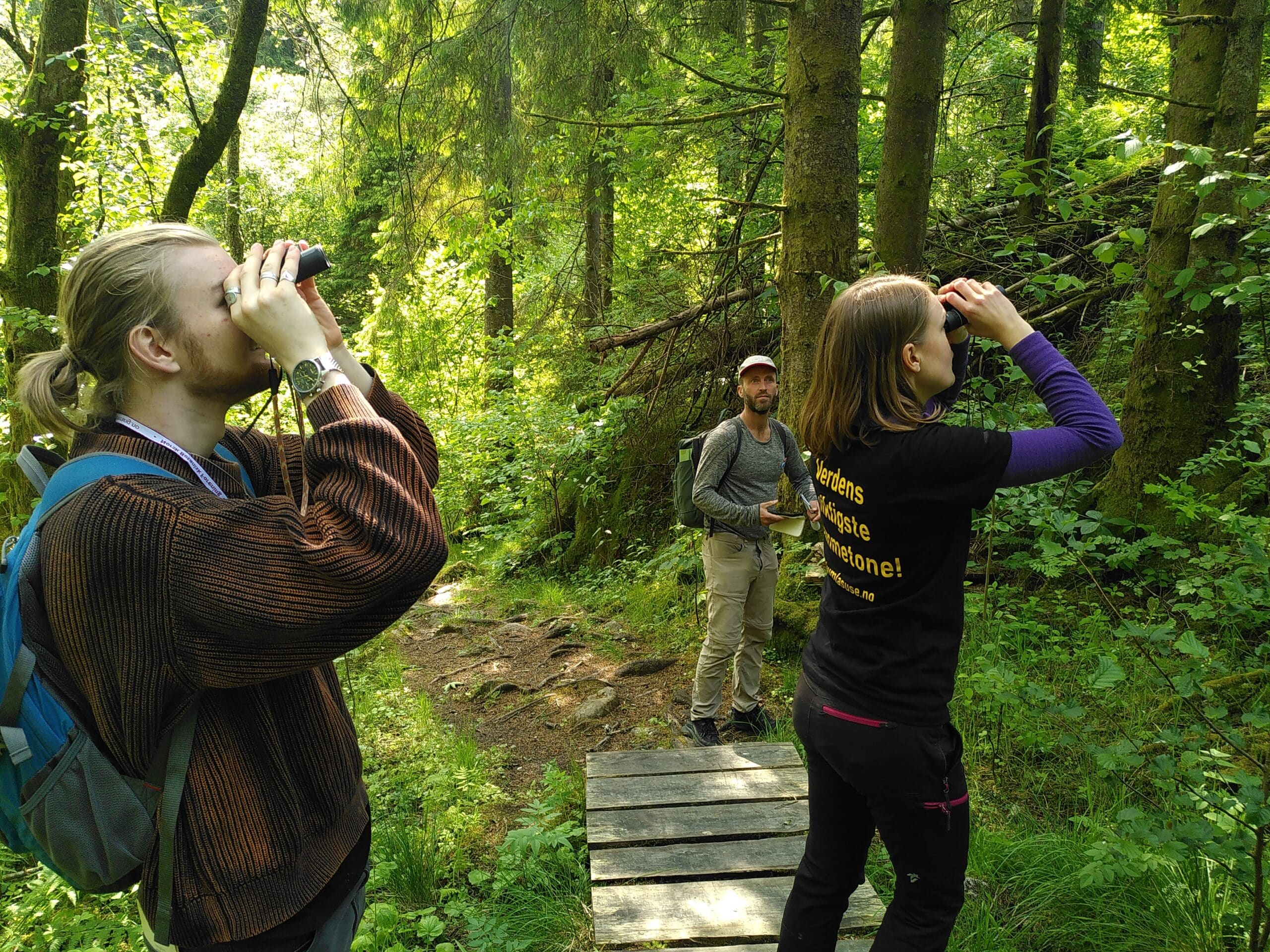 Den store artsjakten på Milde