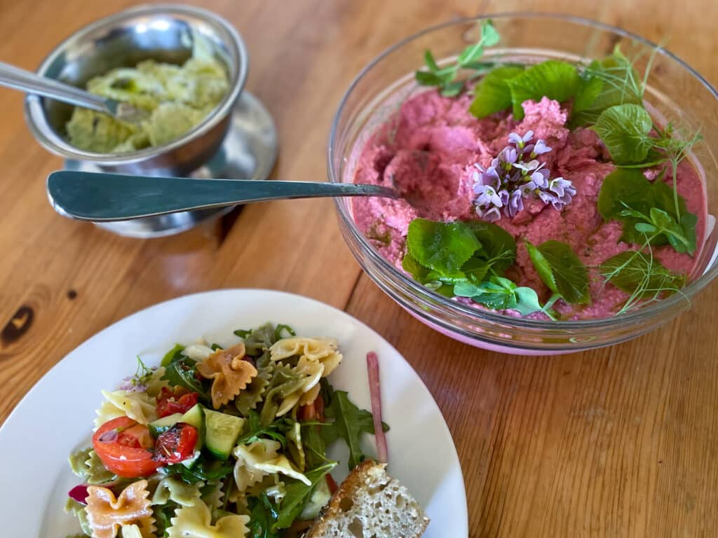 Vegetarmat med tre skåler med rødbetpure, salat og pasta