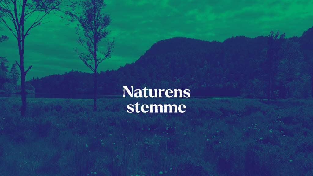 Myrlandskap fra Hordaland, med grønt filter lagt oppå. Tekst med "Naturens stemme" i hvit skrift.