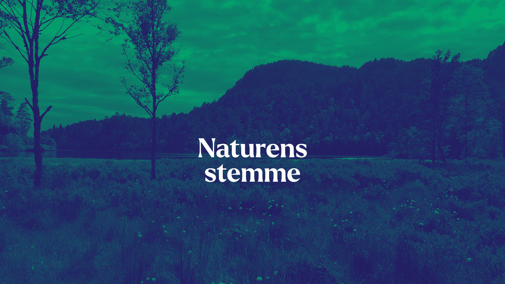 Myrlandskap fra Hordaland, med grønt filter lagt oppå. Tekst med "Naturens stemme" i hvit skrift.