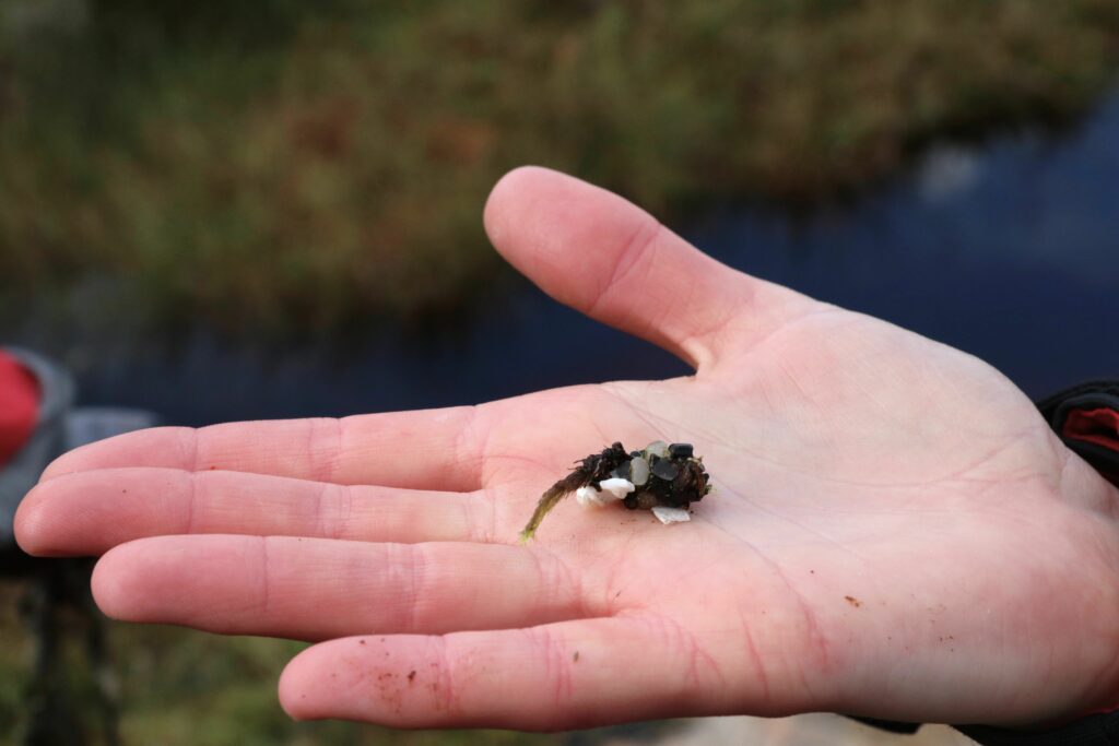 En hånd viser frem en vårfluelarve med små biter av plast.
