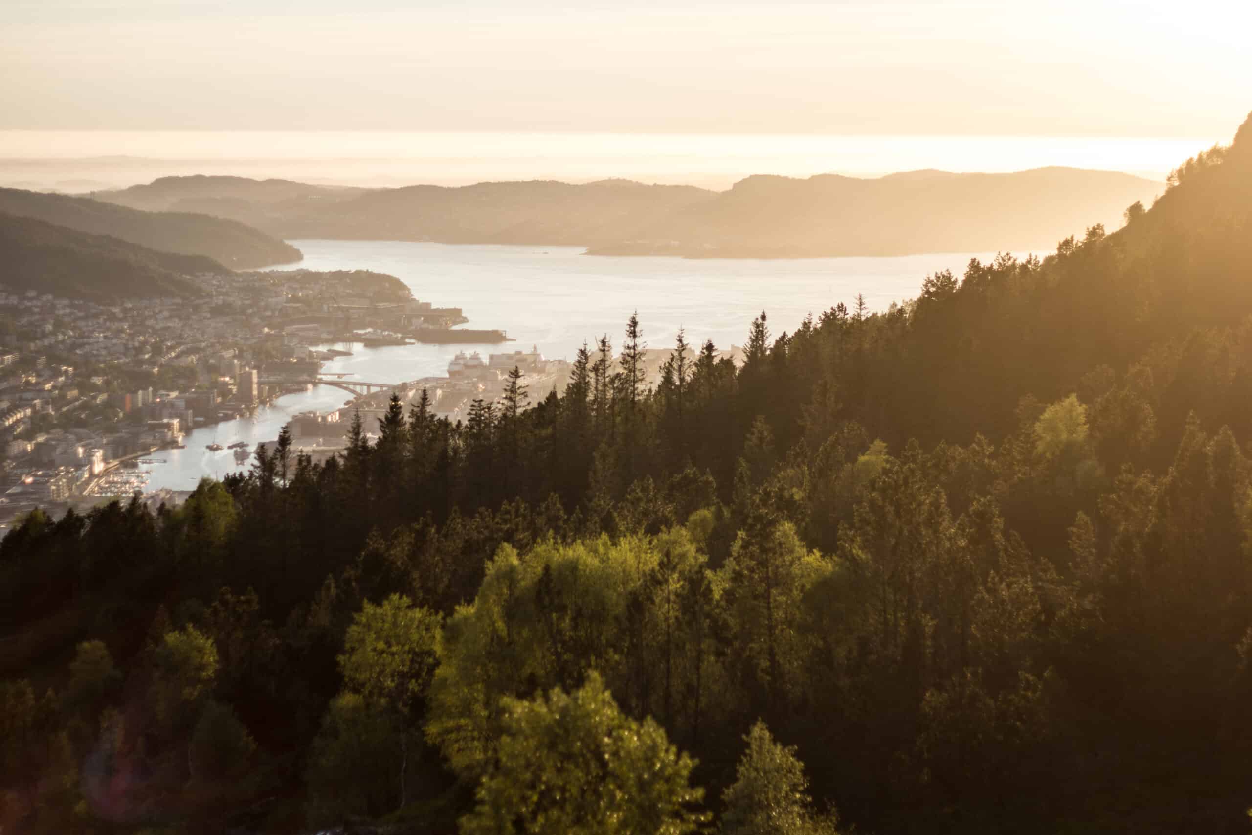 Utsikt mot Bergen sentrum, med skog i forkant
