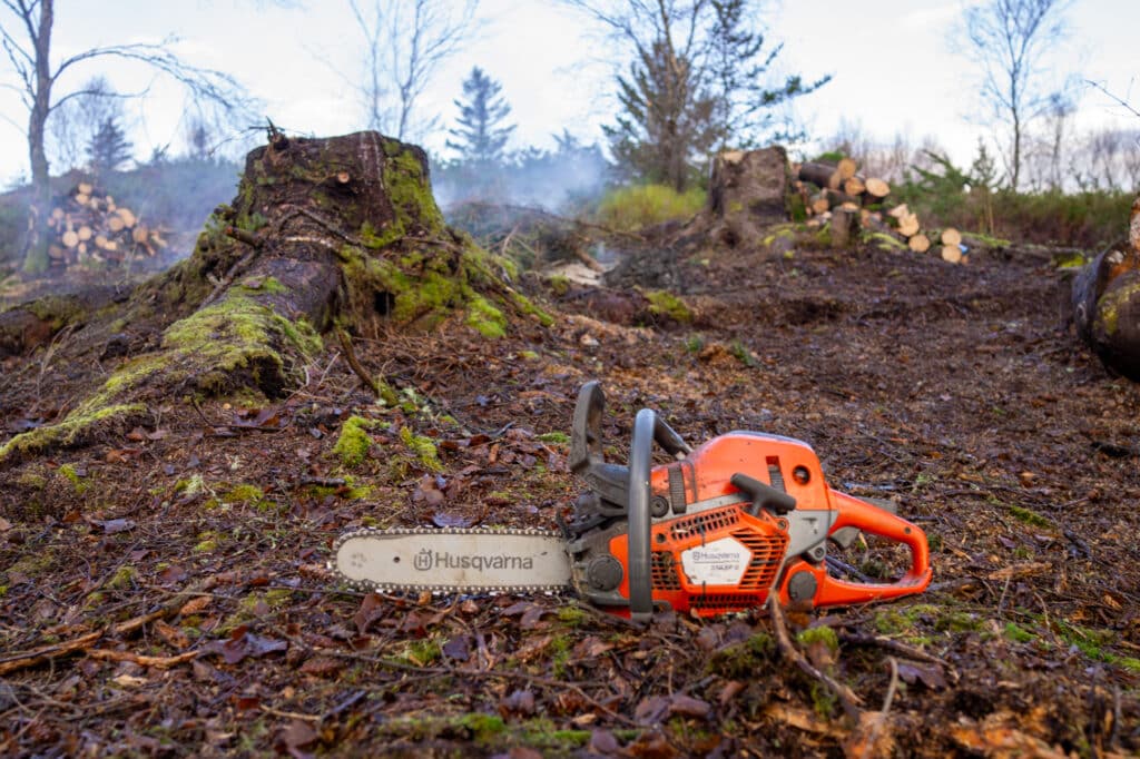 Motorsag på sitkagrandugnad på Børilden.