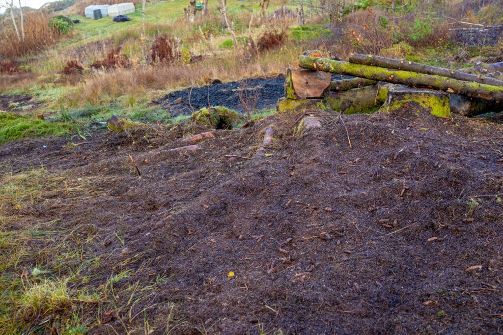 Barnåler på bakken