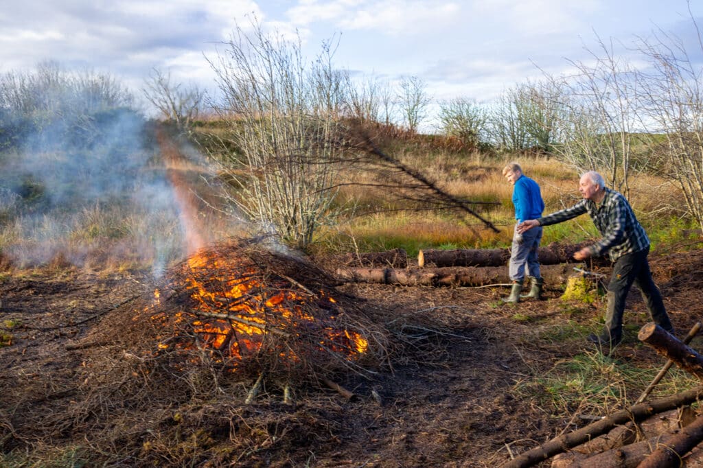 Harald Øksnes og Jan Nordø på sitkagrandugnad på Børilden. 