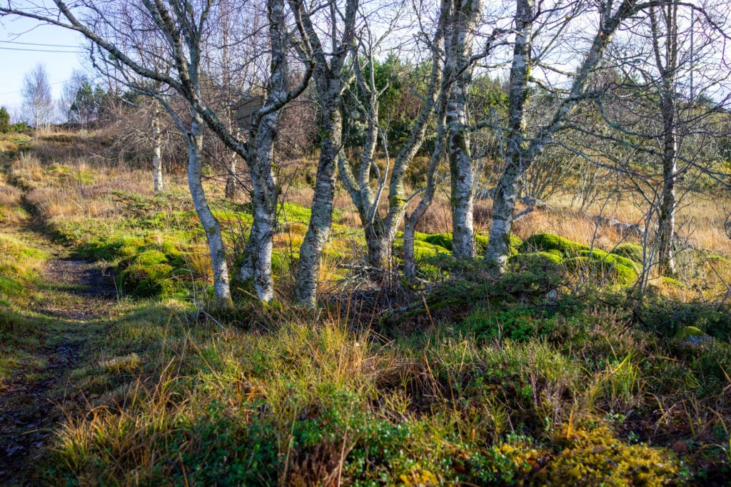 Landskapet på Børilden