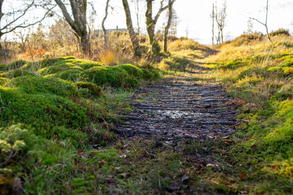 Landskapet på Børilden