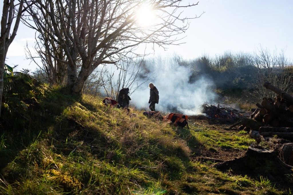 Sitkagrandugnad på Børilden