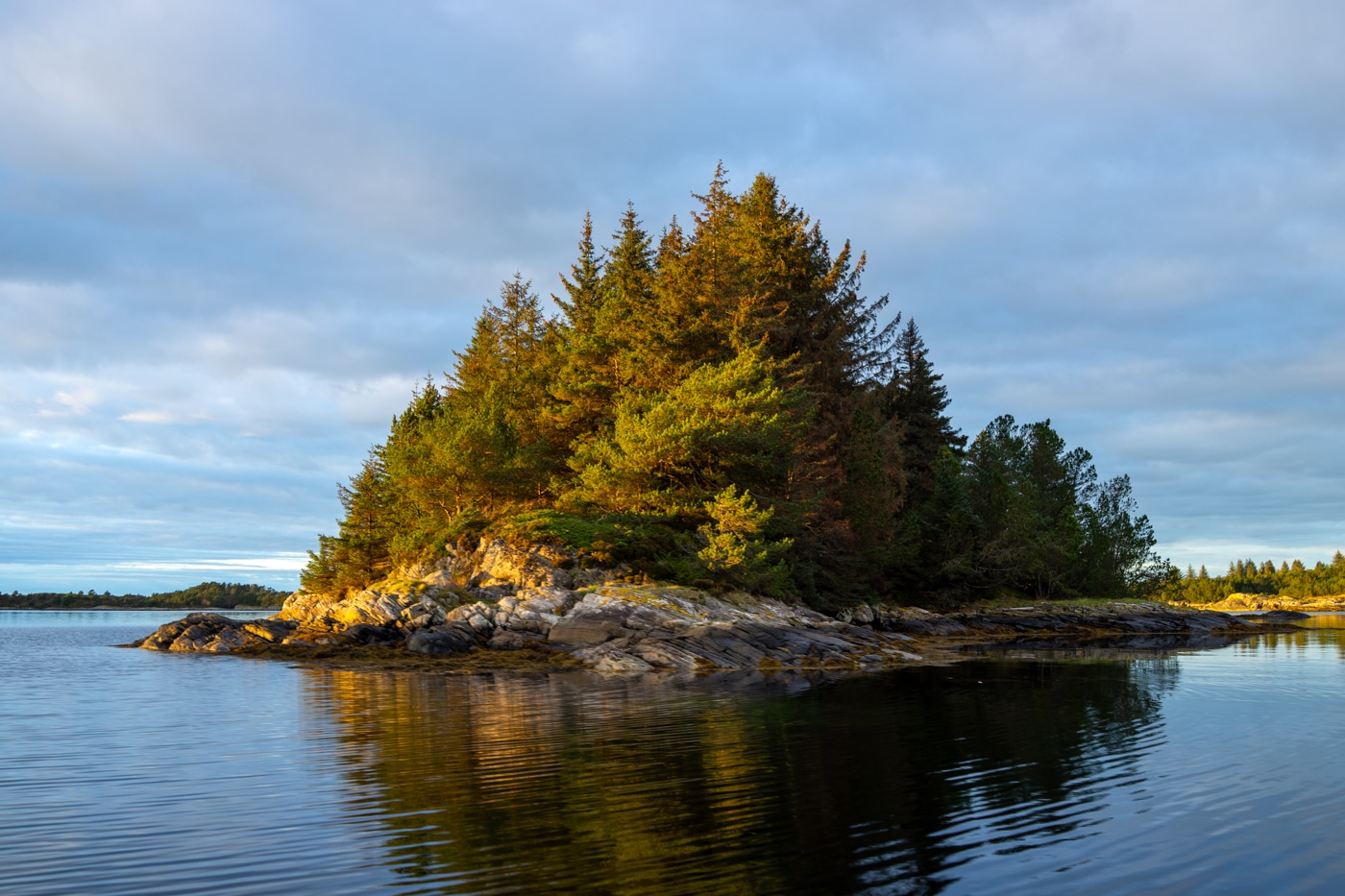 En av de mange holmene på vei til Børilden. Overalt har sitkaen spredd seg.