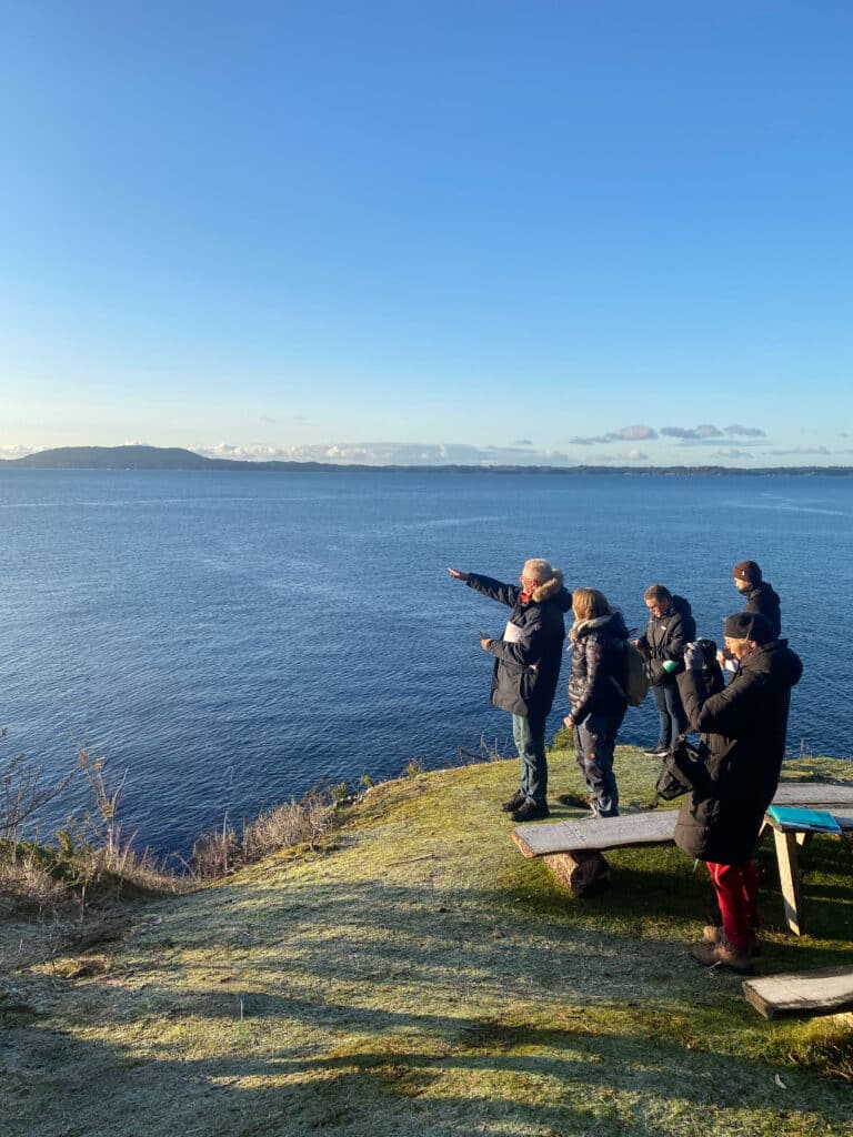 Vi tar med politikere med på befaring langs Hordfast-traseen. Vi ser ut over Bjørnafjorden.