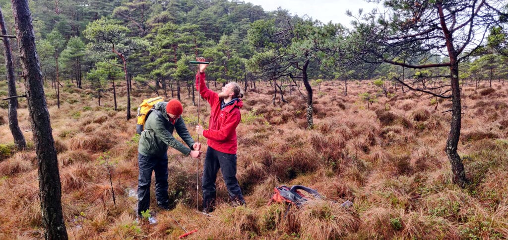 William Helland-Hansen og Isak Helland-Hansen måler dybden på myra i Reksteren i 2021