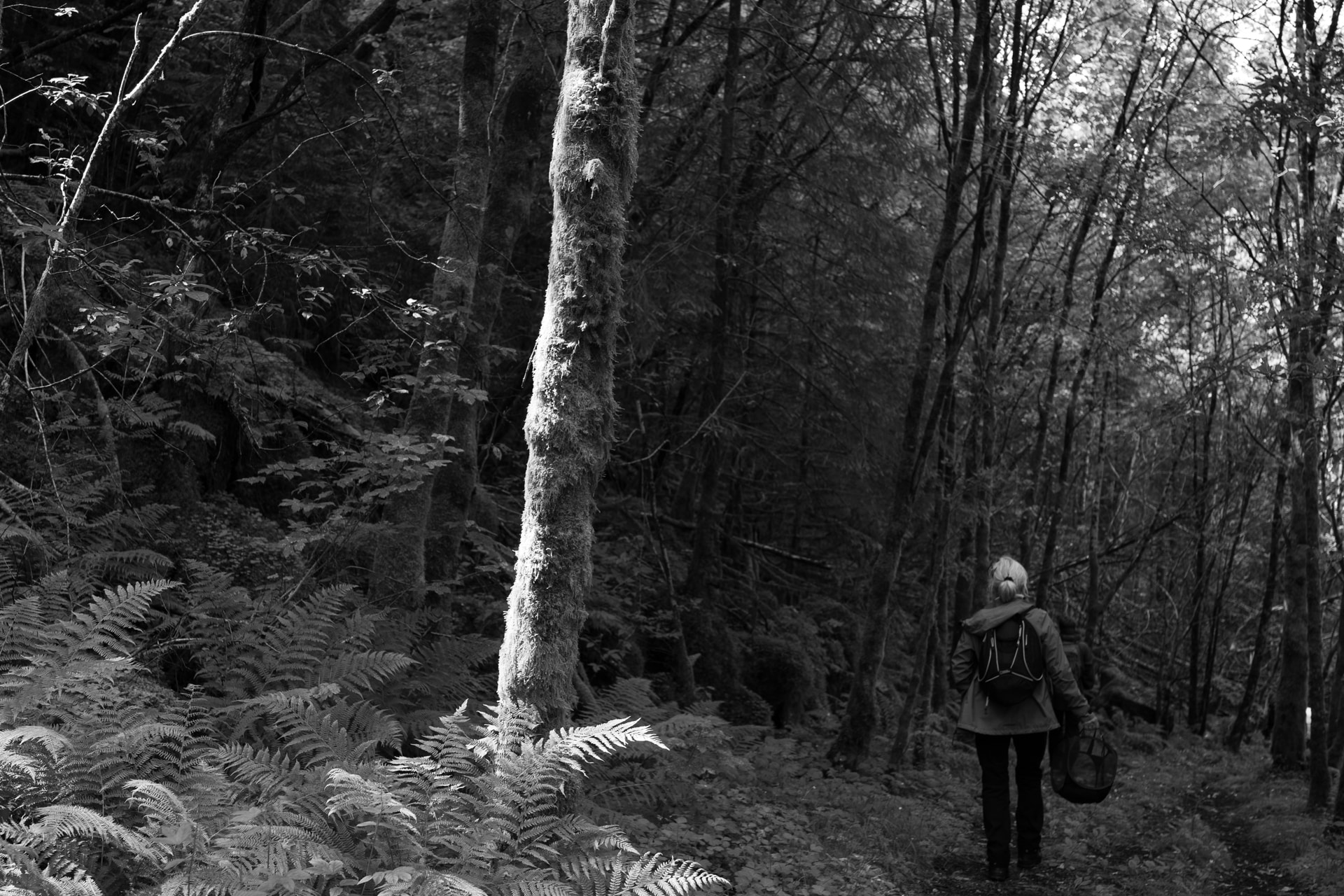 Storhaugen, Bjørnafjorden