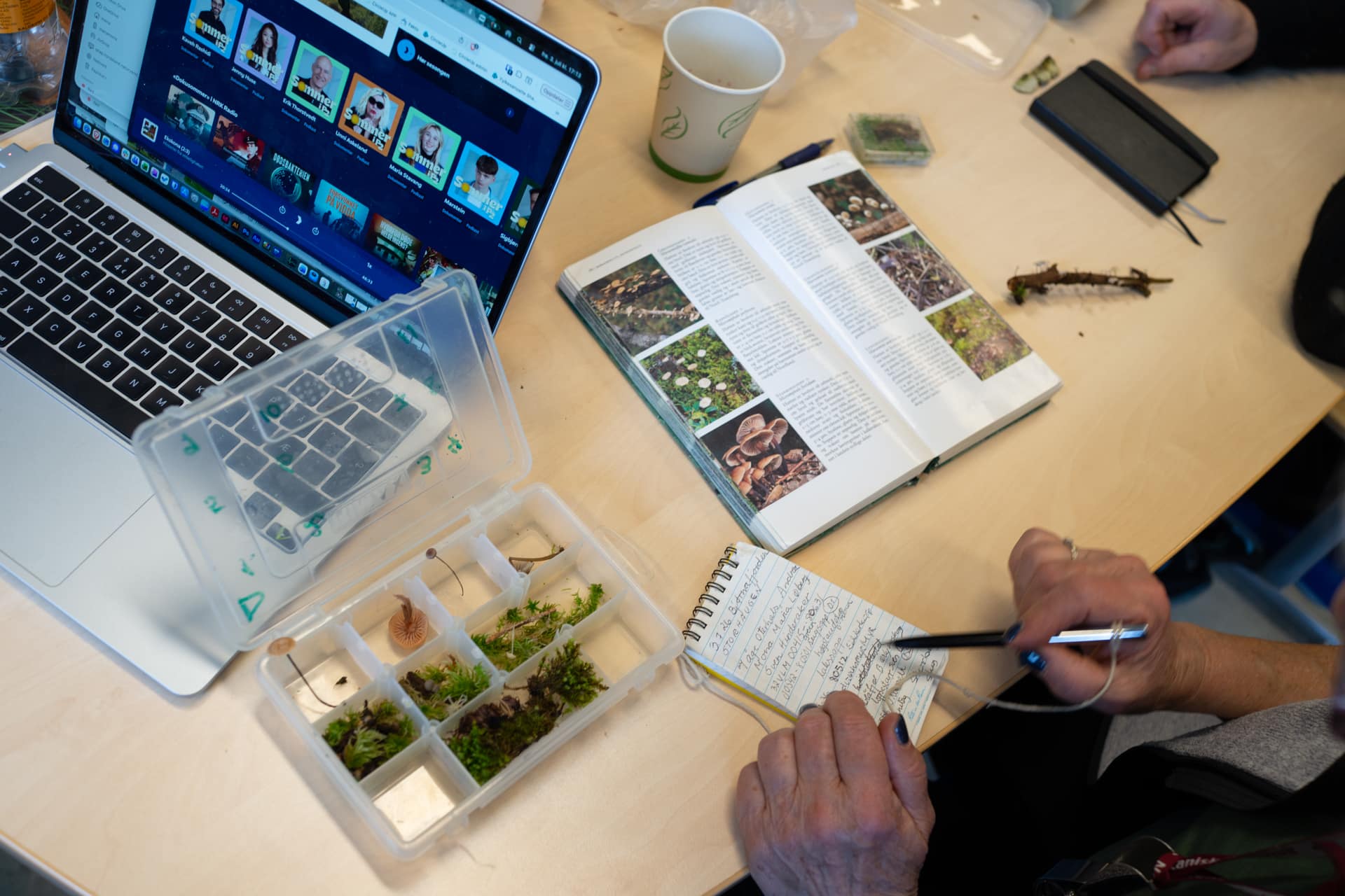 Registrering av arter