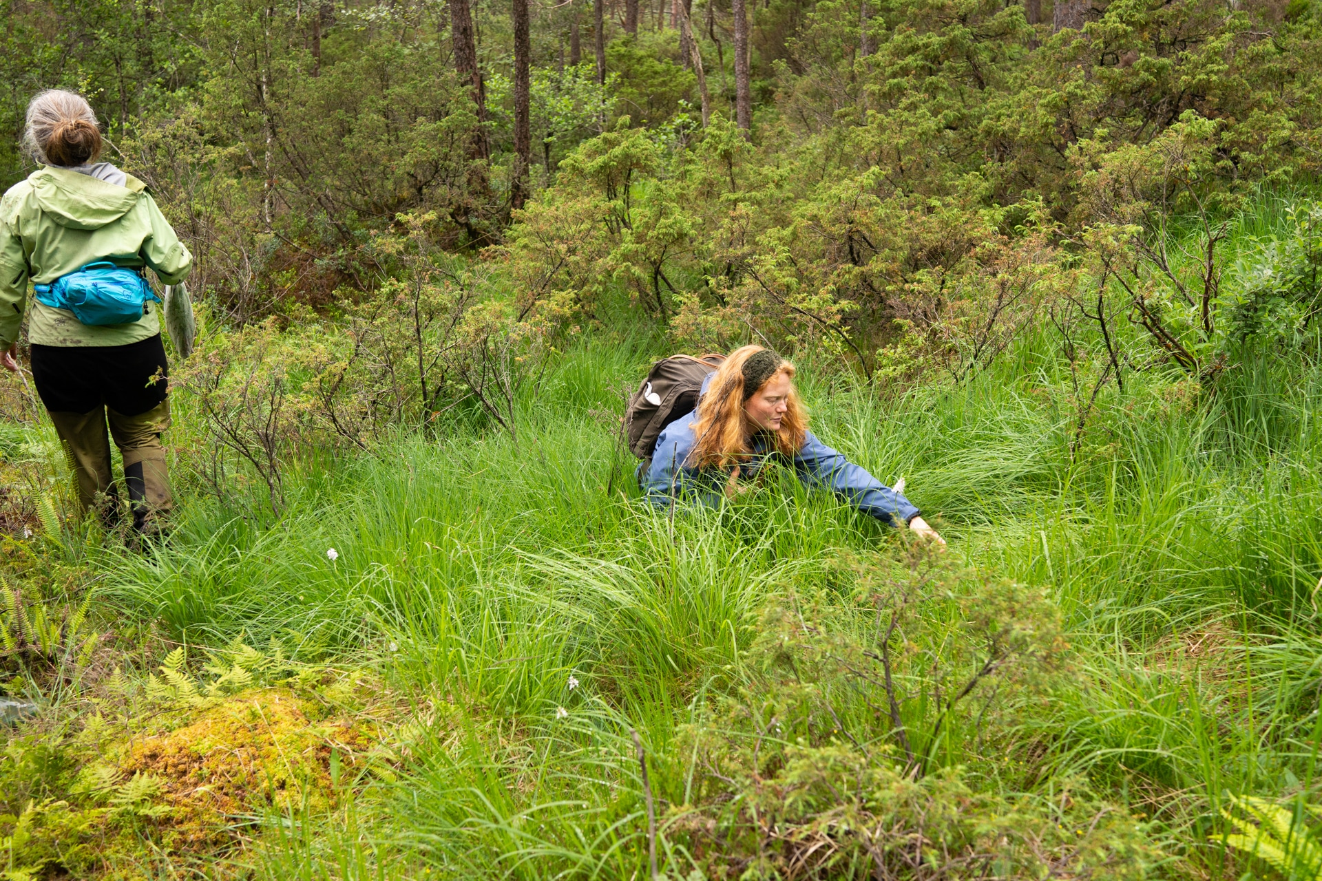 Storhaugen, Bjørnafjorden