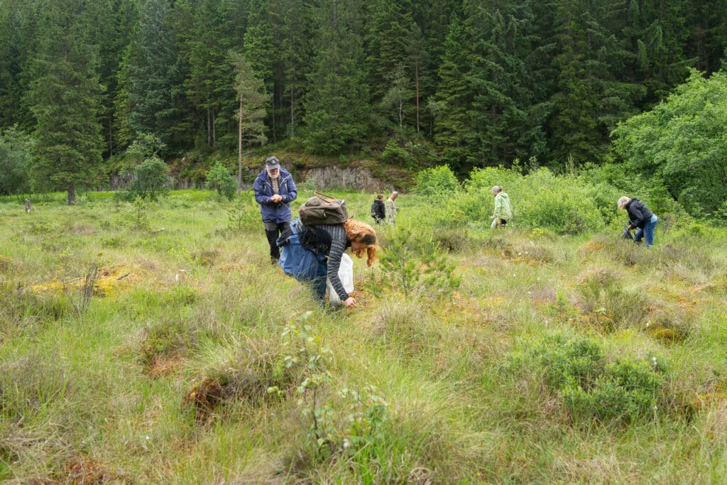 Korsabrumyrane, Bjørnafjorden